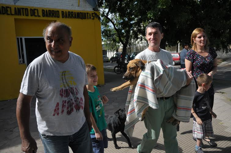 Castración de mascotas en Pro Adelanto Barranquitas