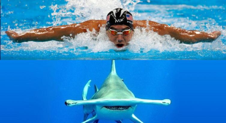Michael Phelps. Tiempo.