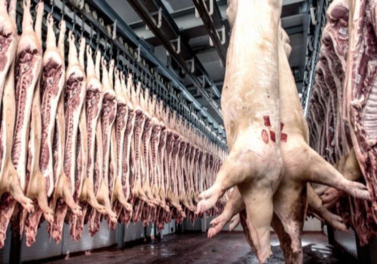 EE.UU se suma a Brasil como exportador de carne de cerdo a la Argentina. - PERFIL