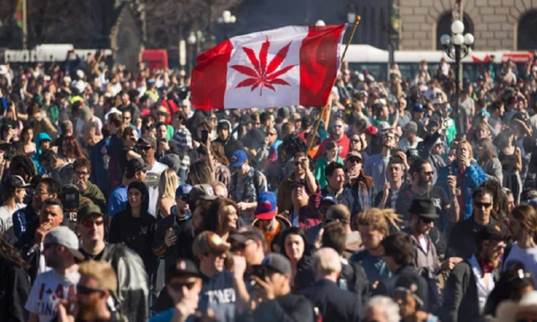 Canadá, el primer país del G-20 con marihuana legal (AFP)