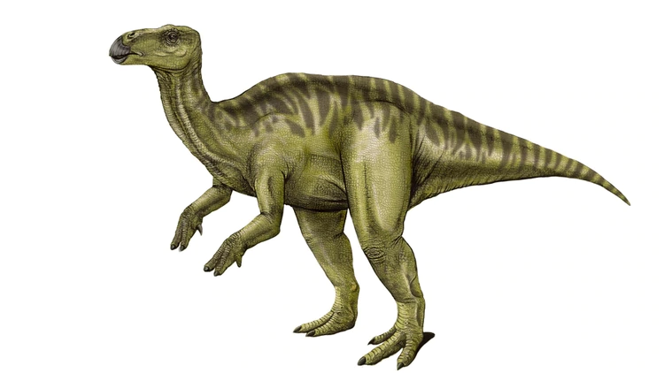 Una nueva especie de dinosaurio ornitópodo del Cretácico Superior fue hallada en Neuquén - INFOBAE