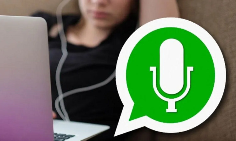 WhatsApp: ¿Cómo enviar mensajes de audio desde la computadora? - Crónica