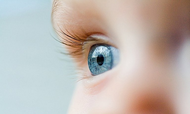 La Academia Americana de Oftalmología insiste en que la detección y el tratamiento temprano de los problemas de visión pueden evitar la progresión de la pérdida de la vista y prevenir enfermedades (Shutterstock)