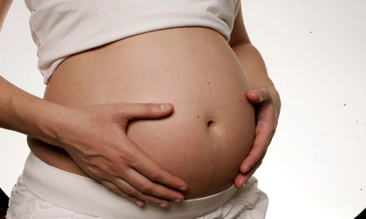 Esta serie de aplicaciones ofrece una variedad de herramientas para apoyar las diferentes etapas que se desarrollan durante el embarazo. EFE/Zayra Mo/Infobae