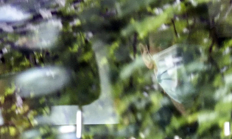 Esta captura de pantalla tomada de AFPTV muestra a Novak Djokovic en un automóvil que sale del centro de detención de inmigrantes donde se alojaba en Melbourne el 10 de enero de 2022 (AFP)