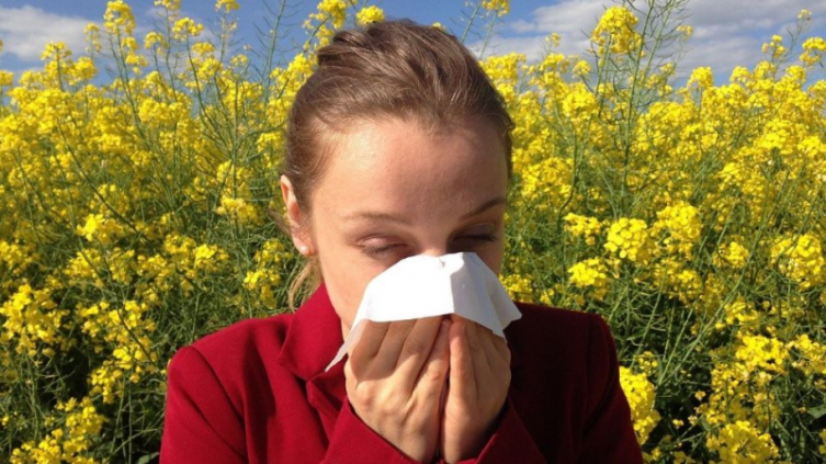 Alergias primaverales: cómo prevenir las crisis - PRONTO