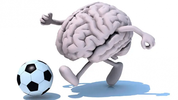 Salud y Mundial de Qatar 2022: ¿Cómo impacta en nuestro cerebro un partido de fútbol? - ámbito
