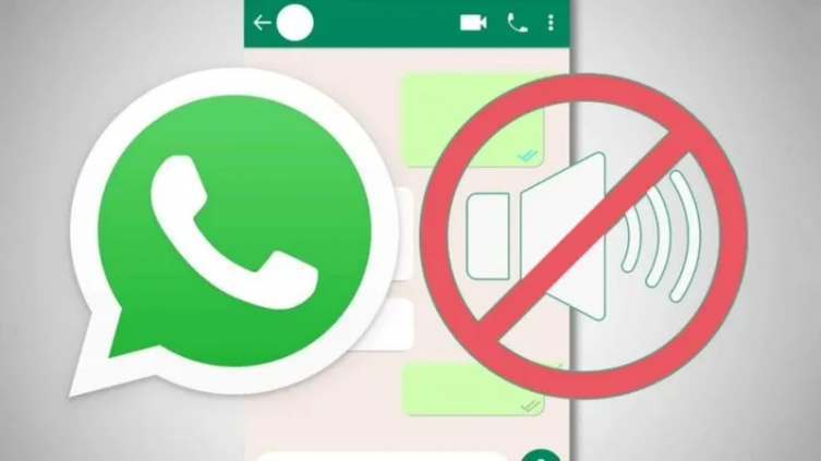 WhatsApp cuenta con una opción para elegir las notificaciones de qué contacto querés que te lleguen. - Crónica