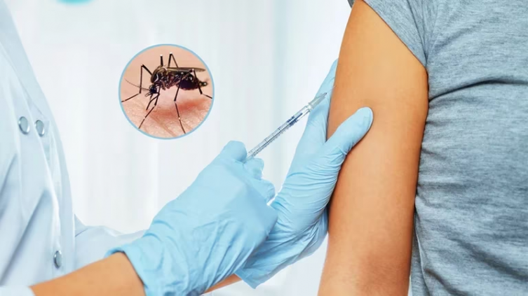 La ANMAT aprobó la vacuna contra el dengue: cuándo llegará al país y cómo será su aplicación - Infobae