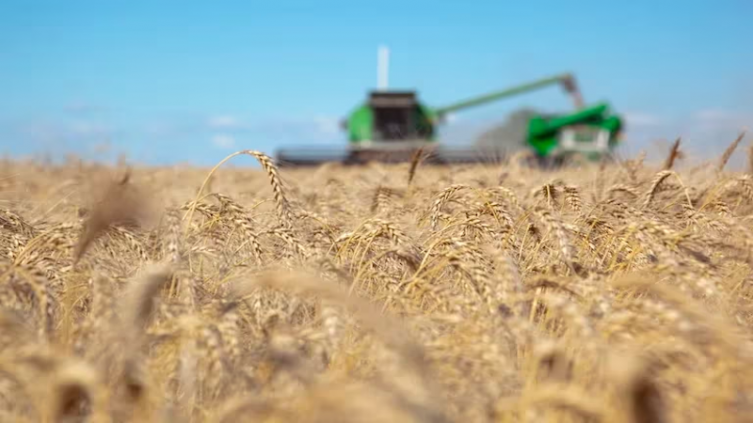 Un reclamo histórico del campo: qué significa y cuál será el impacto en el agro de la prohibición de restricciones a las exportaciones (EFE/ Ministerio De Agricultura/Archivo)