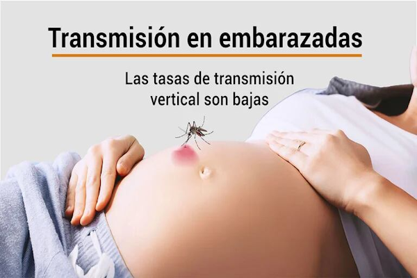 Según las últimas cifras del Boletín Epidemiológico, en Argentina “se registraron 1.056 casos de dengue en mujeres gestantes, con una mediana de edad de 28 años” - Infobae