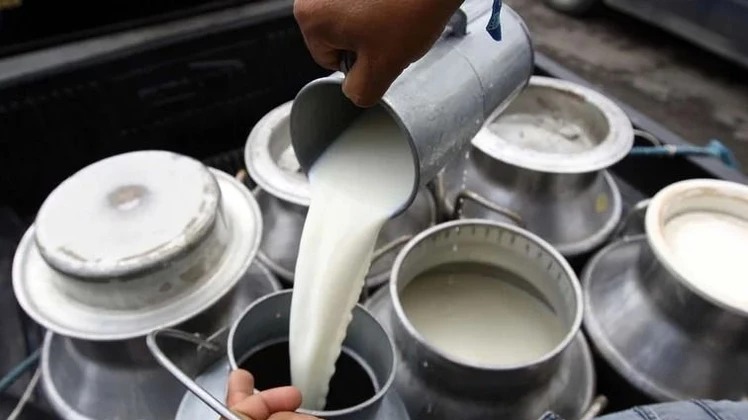Ya es oficial la suspensión de retenciones para productos lácteos