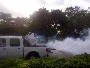 Dengue - Fumigación en Rosario