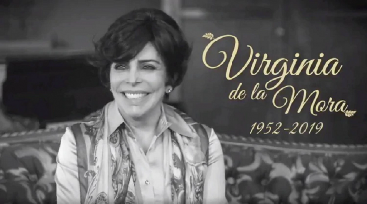 “Virginia de la Mora” se enfrentó a varias dificultades durante la primera temporada de “La Casa de las Flores” (Foto: Netflix)