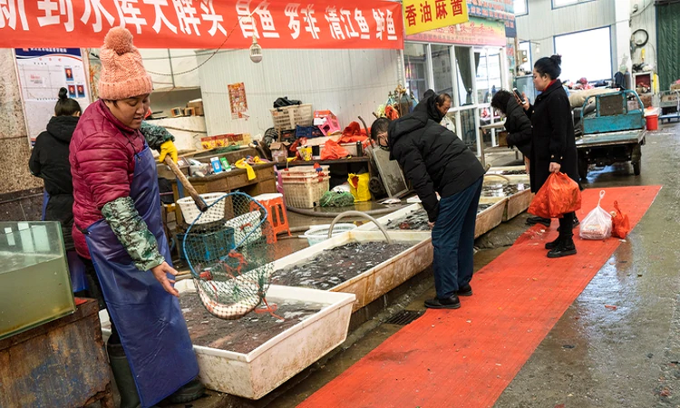 Imagen del sector de venta de pescado en el mercado de Langfang, China, el 23 de enero de 2020 (Giulia Marchi/The New York Times)