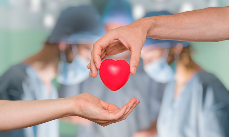 El 30 de mayo se celebra el Día Nacional de la Donación de Órganos (Shutterstock)