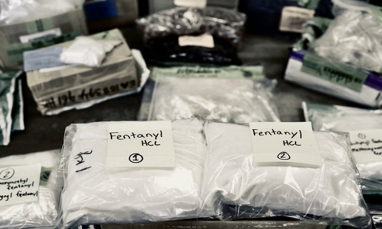 Envío de fentanilo secuestrado por autoridades federales de los Estados Unidos. Laboratorios clandestinos chinos venden la droga a los carteles mexicanos que la introducen a través de la frontera (Reuters)