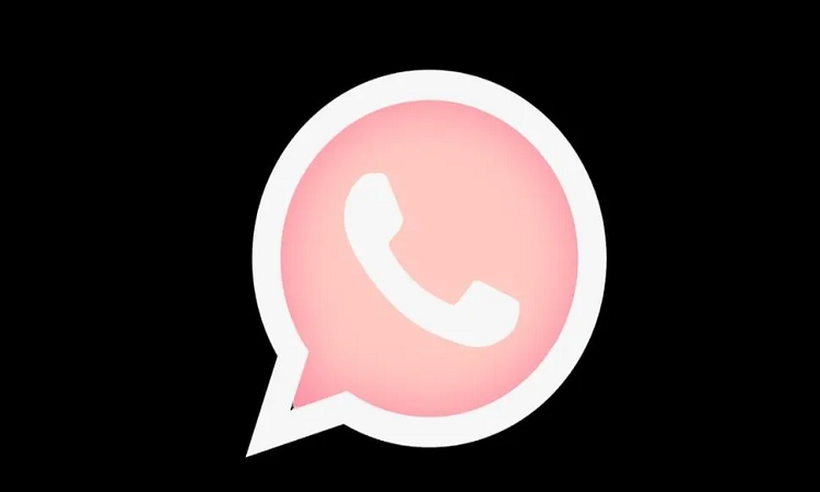 whatsapp logo rosa