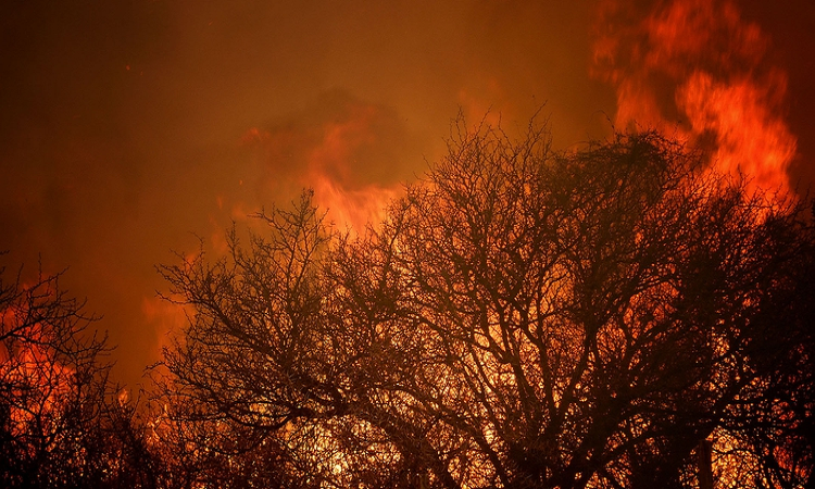 Fuego en Córdoba: en la Argentina, la gran mayoría de los incendios forestales fueron iniciados por la acción humana, ya sea de modo intencional o por negligencia (Mario Sar)