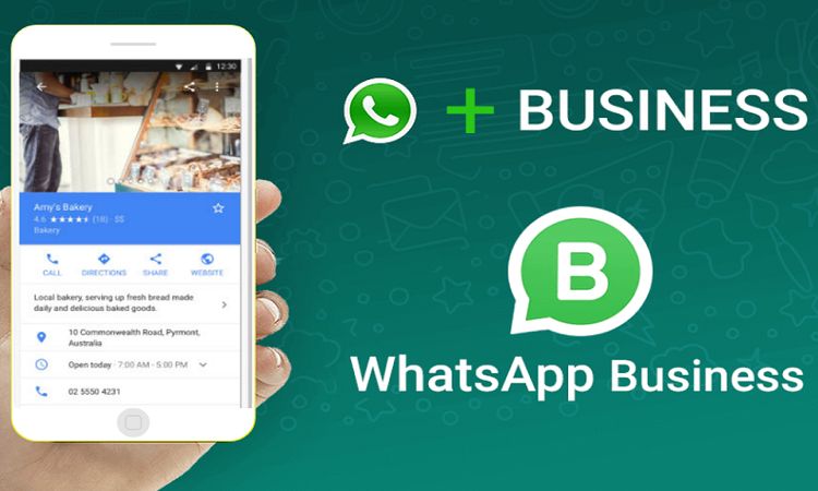 WhatsApp Business - Neolo Blog