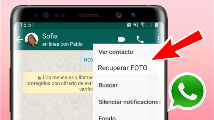 WhatsApp: con este truco vas a poder recuperar las fotos eliminadas de la app. - YouTube