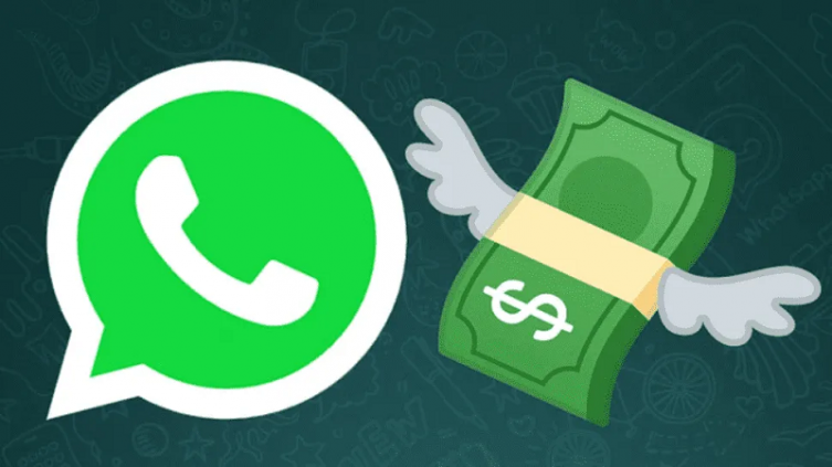 La suscripción paga está apuntada a los usuarios de WhatsApp Business - Crónica