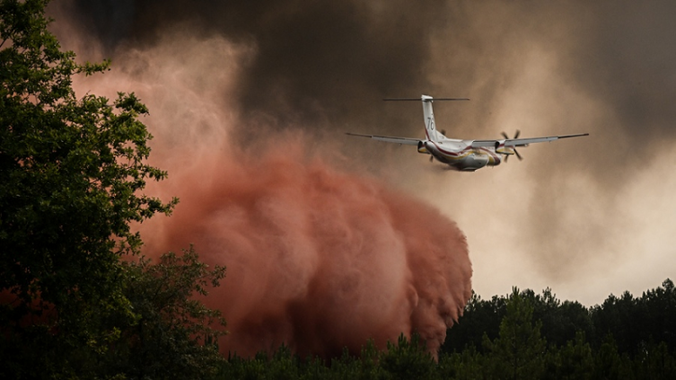 Continúan los incendios forestales en Francia, reavivados por una nueva ola de calor. Foto: AFP.