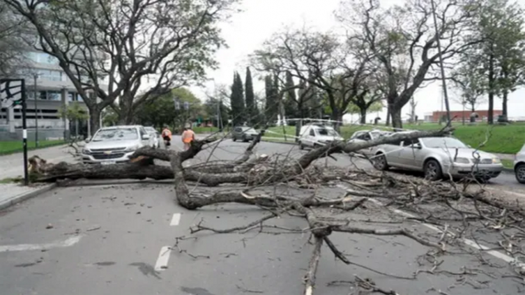 El temporal de viento dejó voladuras de techos y decenas de árboles y columnas caídas Foto gentileza La Capital