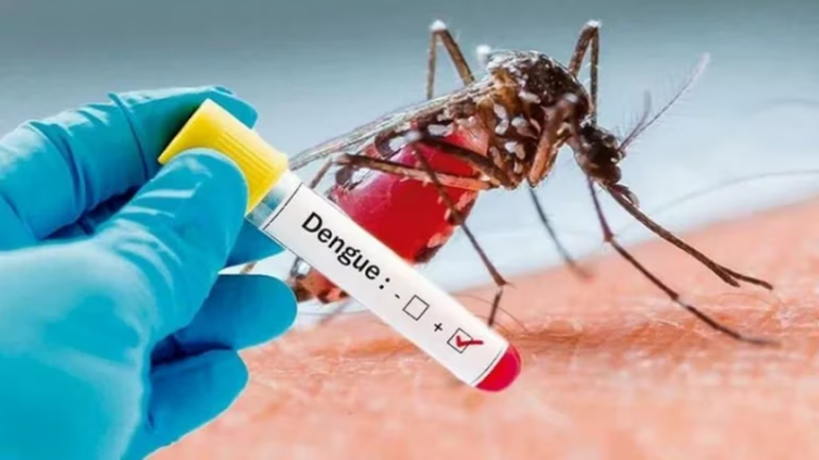 Crecen los casos de dengue en cinco provincias y en la Ciudad de Buenos Aires - Infobae