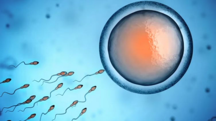 Nació el primer bebé del mundo concebido con un nuevo método de fertilidad desarrollado por científicos argentinos (iStock)