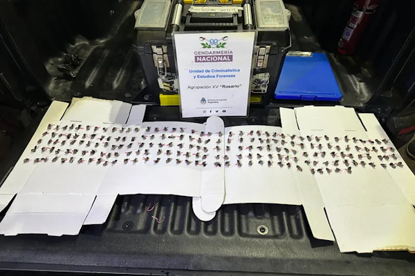 Megaoperativo en Rosario: Gendarmería ejecutó 20 allanamientos simultáneos por balaceras y extorsiones - UNO Santa Fe