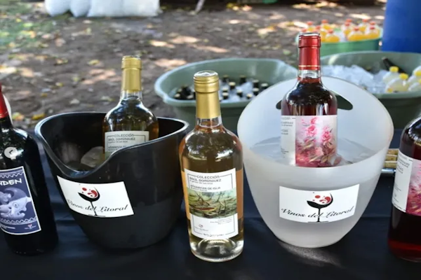 De Villa Ocampo a Coronel Bogado, la vitivinicultura santafesina crece de la mano de 25 productores - UNO Santa Fe