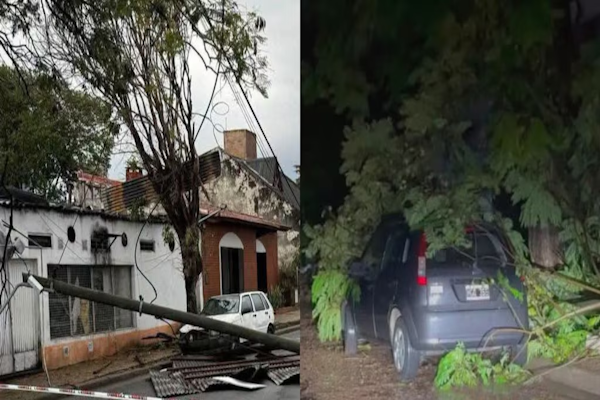 Una mujer de 76 años murió aplastada por un árbol en medio del temporal que azotó al norte de Entre Ríos. - Infobae